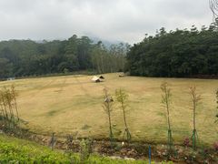 -黄埔油麻山森林公园
