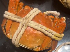 螃蟹档-太湖饭店玉兰厅(自助餐厅)