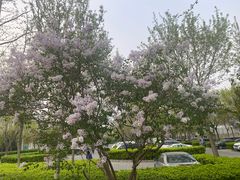 -绿堤公园