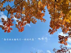 -白塘生态植物园
