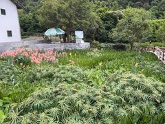 -梅州天地人花园酒店(梅县人民广场店)