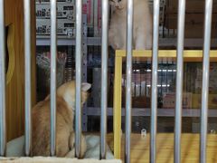 -三旗百汇商品城