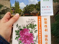 -汇龙潭