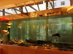 -衡山汇·高级粤菜(霄云路店)