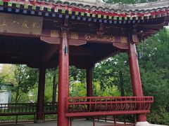 -元大都城垣遗址公园