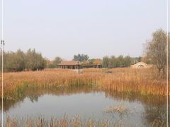 -张家湾公园