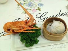 一品龙虾饺-顺悦酒家(嘉信城市广场店)