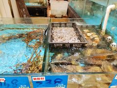 水产区-陆川港酒楼(亭洪店)