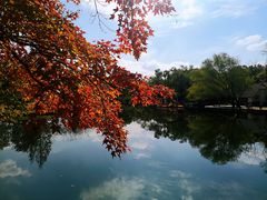 景观位-绿荫坊餐厅(共青森林公园店)