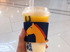 -春丽小马(济南恒隆广场店)