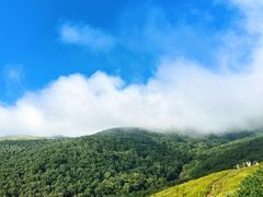 -灵山