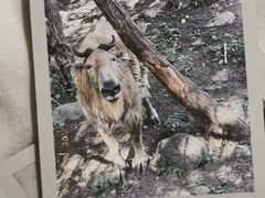 -青峰峡国家森林公园