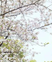 -HeyJewel全球独立设计师原创首饰集合店