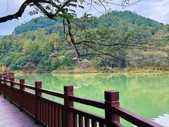 -广州白江湖森林公园