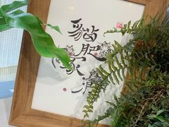 -吉丁鸟咖·异宠·寄养