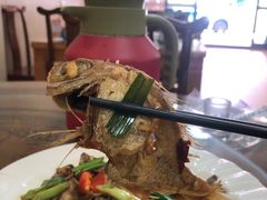 -友强·23年特色海鲜大排档(厦门店)