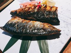 -森味薪火烧•烧鸟居酒屋•日本料理(望京店)