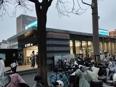 -平乐园(地铁站)