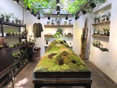-植觉