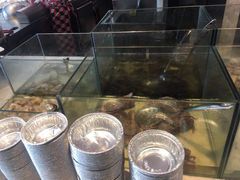 水产区-鹭江潮餐厅•福建菜(鹭江佲家酒店)