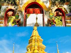 -西双版纳傣族园