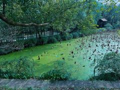 -兰亭风景区