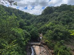 -广州白江湖森林公园