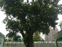 -龙环葡韵住宅式博物馆