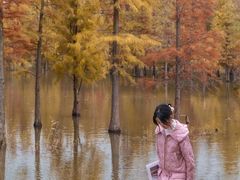 -白鹭湾湿地公园