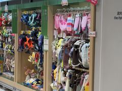 -帕帕拉兹宠物(亚洲旗舰店)