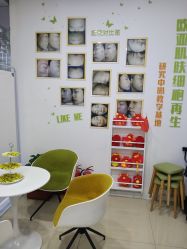 -莱可美科技美肤