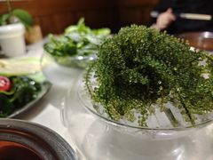 -一叶一世界•素食餐厅(环球中心店)