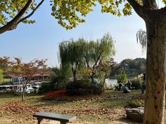 -宜兴龙背山森林公园