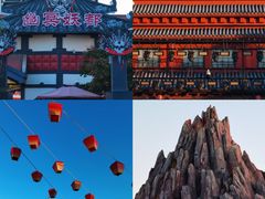 -宁波杭州湾国家湿地公园