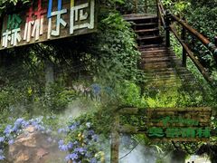 -青青世界