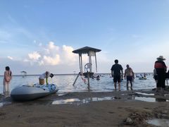 -碧海金沙