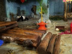 -海南热带野生动植物园
