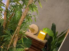 -施奈儿.洗头頭療.按摩SPA.采耳(上梅林店)