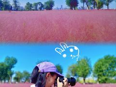 -汉长安城未央宫国家考古遗址公园