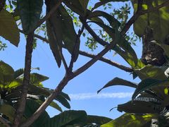 -昆山城市生态森林公园