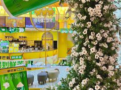 -鲜芒多·杨枝甘露(摩尔城A座10楼店)