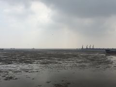 iphone_upload_pic-汤山公园