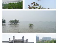 -宝安西湾红树林湿地公园