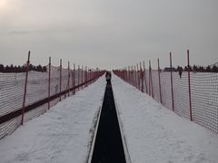 -呼兰河口湿地公园