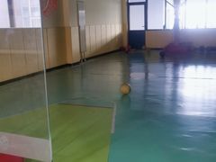 -酷迈儿童体能运动馆(九棵树店)