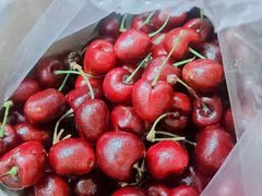 -西北农副产品中心批发市场(广安路店)