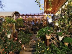 -大隐花事(熊婆婆的花园店)