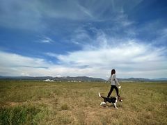 -敕勒川草原