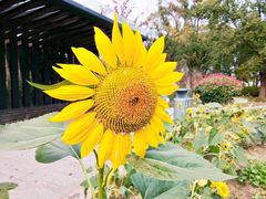 -昆山城市生态森林公园