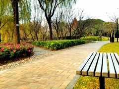 -中国浦东干部学院